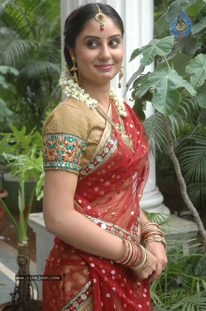 Bhanusri Mehra Latest Stills - 2 / 35 photos
