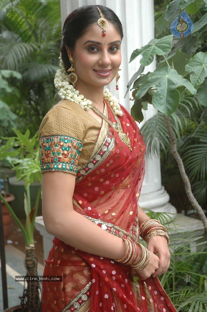 Bhanusri Mehra Latest Stills - 11 / 35 photos