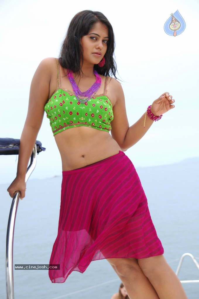 Bindu Madhavi Hot Pics - 57 / 69 photos