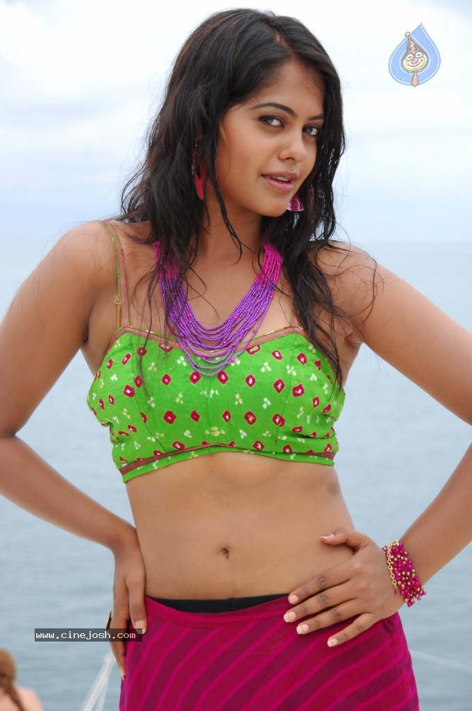 Bindu Madhavi Hot Pics - 65 / 69 photos