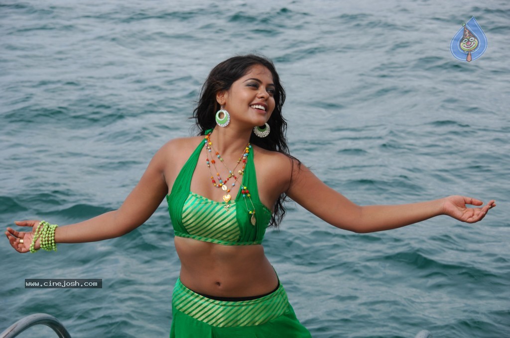 Bindu Madhavi Hot Pics - 66 / 69 photos