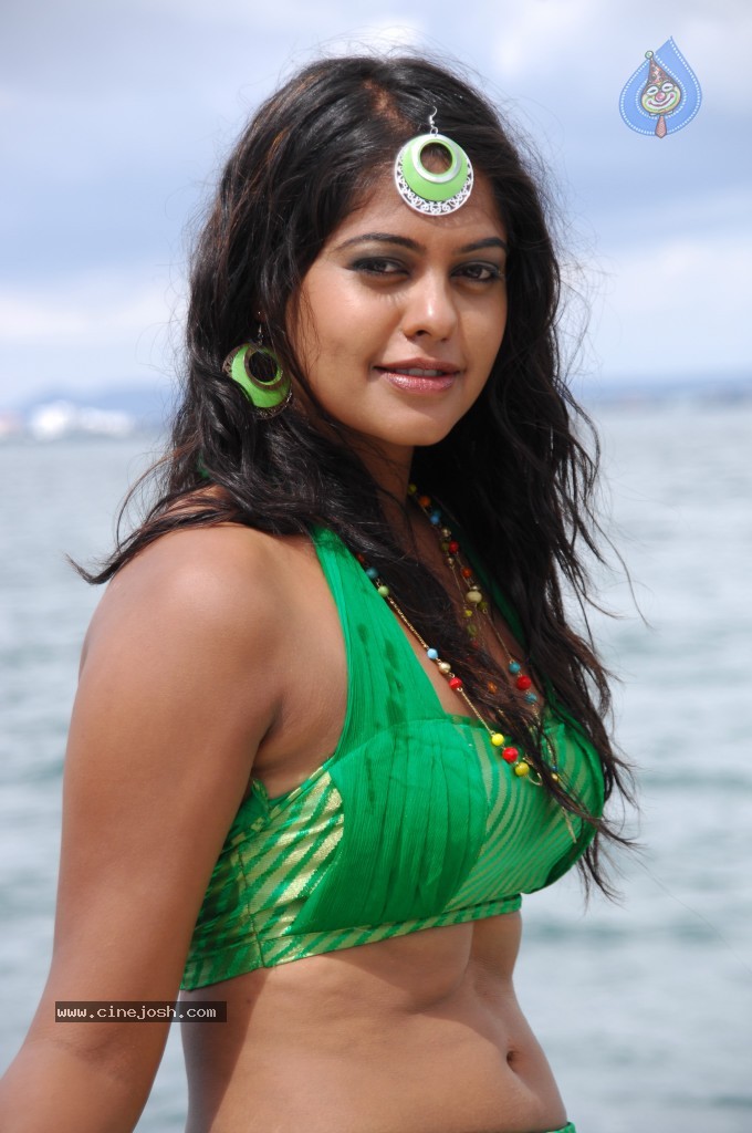Bindu Madhavi Hot Pics - 69 / 69 photos