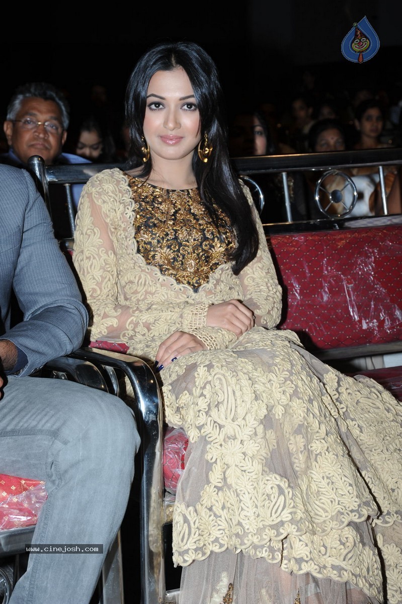 Catherine Tresa at Errabassu Audio Launch - 4 / 73 photos