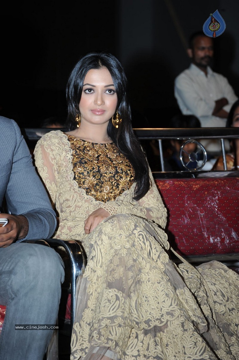 Catherine Tresa at Errabassu Audio Launch - 15 / 73 photos