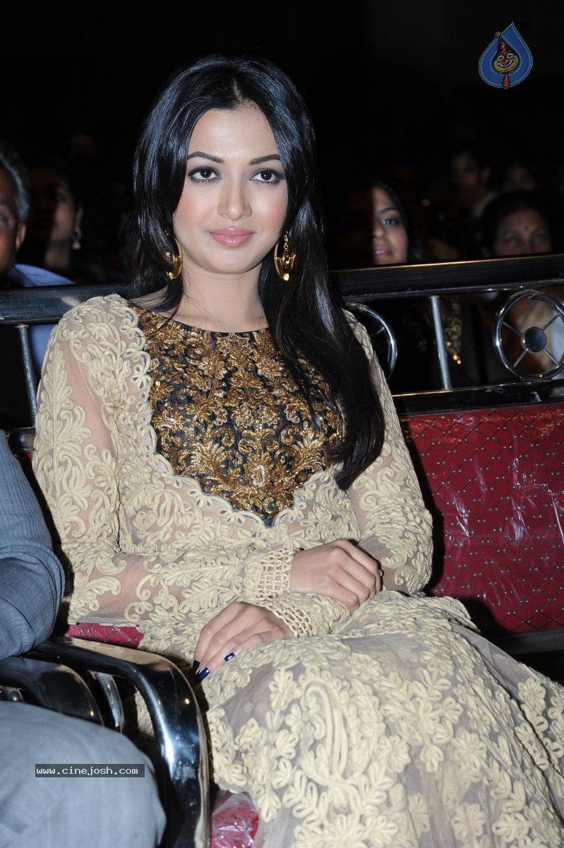 Catherine Tresa at Errabassu Audio Launch - 22 / 73 photos