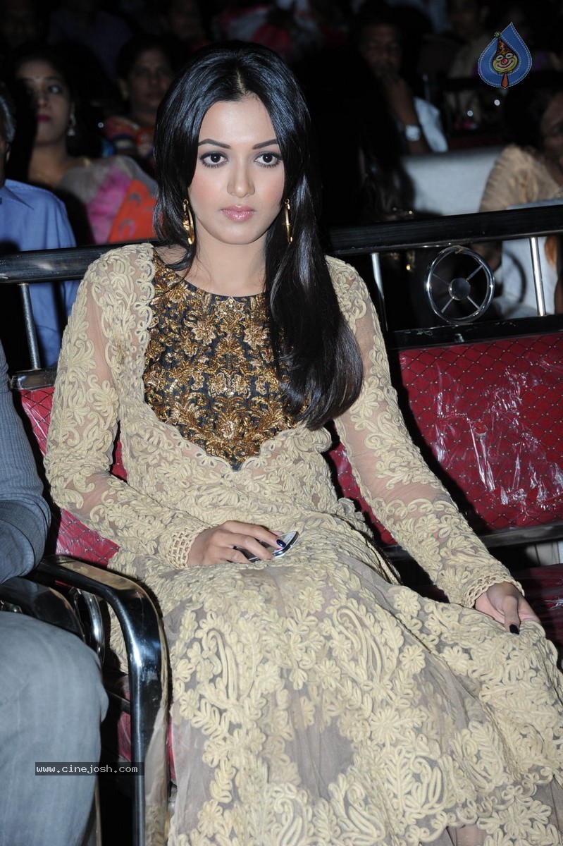 Catherine Tresa at Errabassu Audio Launch - 30 / 73 photos