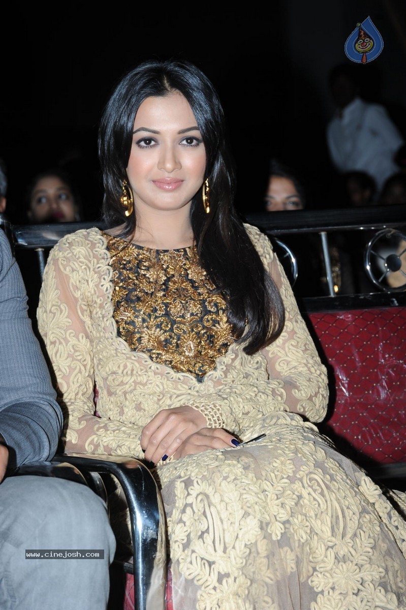 Catherine Tresa at Errabassu Audio Launch - 32 / 73 photos