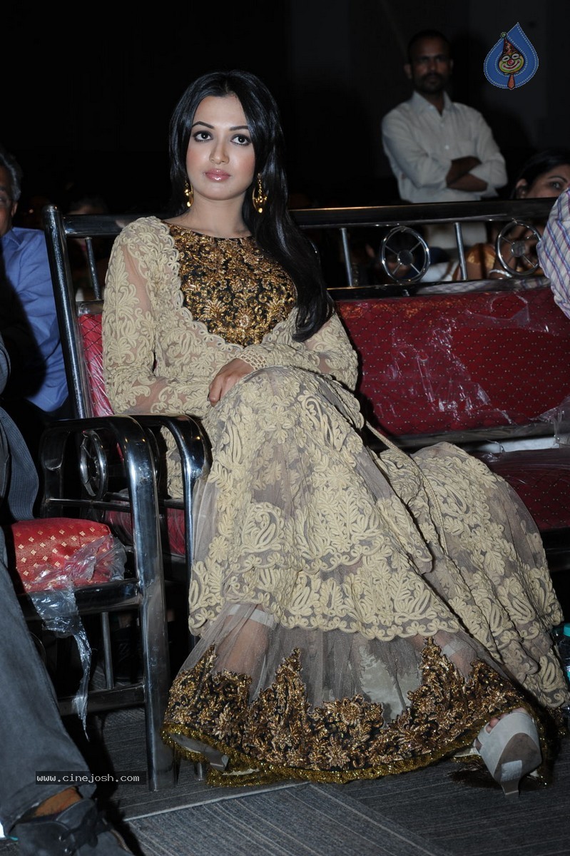 Catherine Tresa at Errabassu Audio Launch - 34 / 73 photos