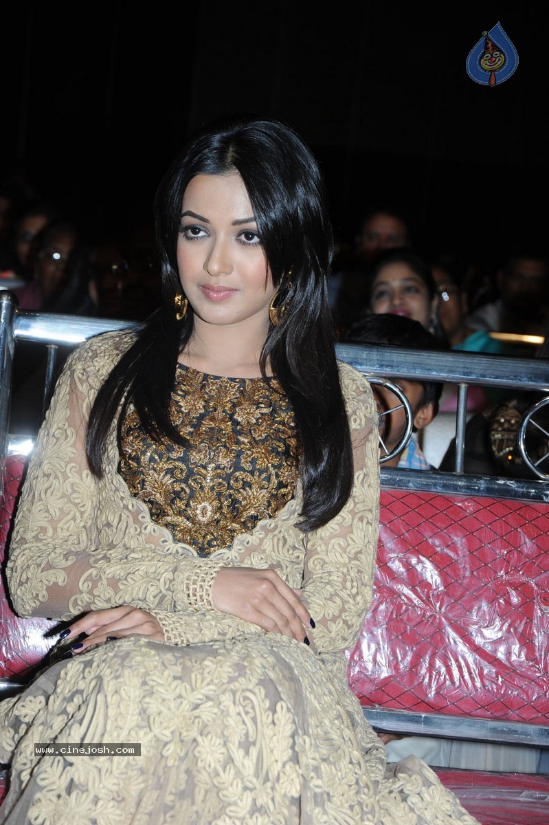 Catherine Tresa at Errabassu Audio Launch - 38 / 73 photos