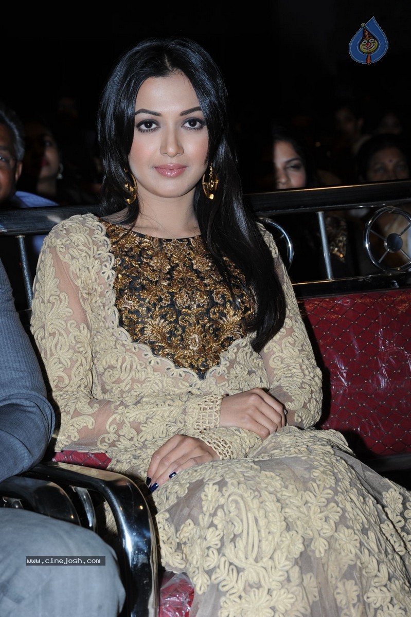 Catherine Tresa at Errabassu Audio Launch - 39 / 73 photos