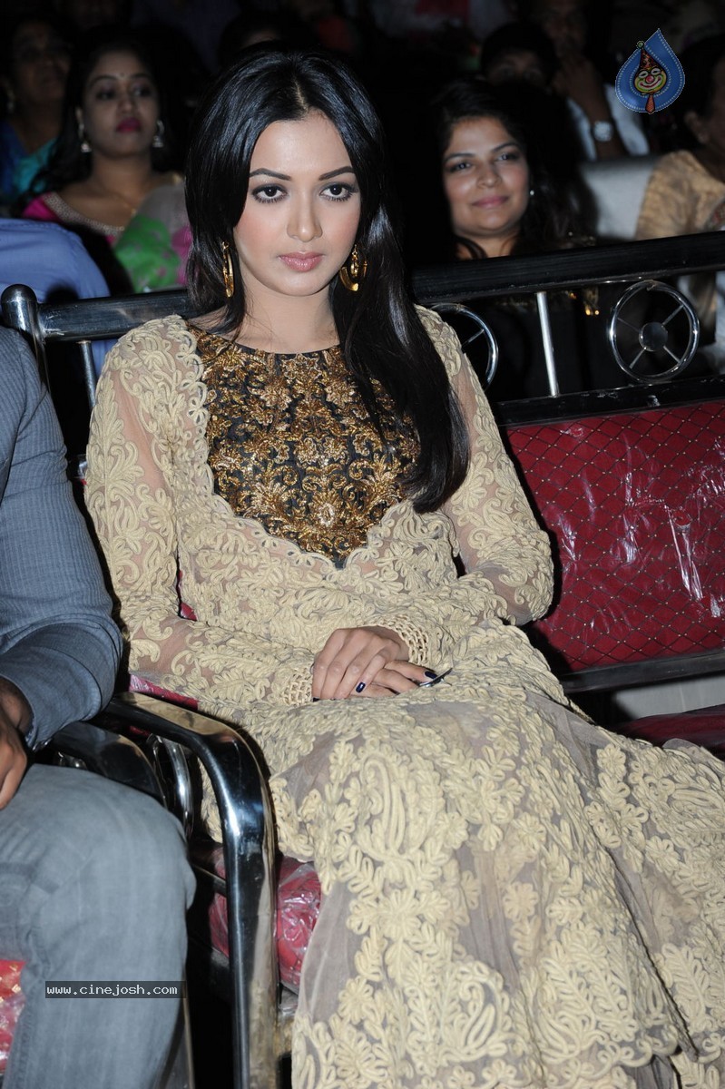 Catherine Tresa at Errabassu Audio Launch - 49 / 73 photos