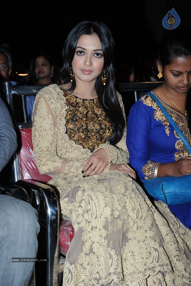 Catherine Tresa at Errabassu Audio Launch - 67 / 73 photos