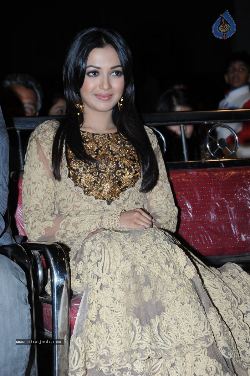 Catherine Tresa at Errabassu Audio Launch - 72 / 73 photos