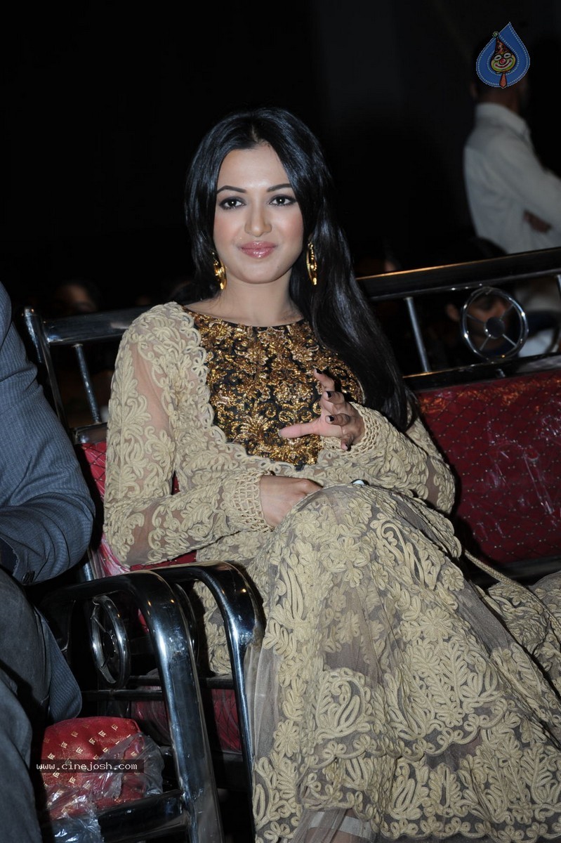 Catherine Tresa at Errabassu Audio Launch - 73 / 73 photos