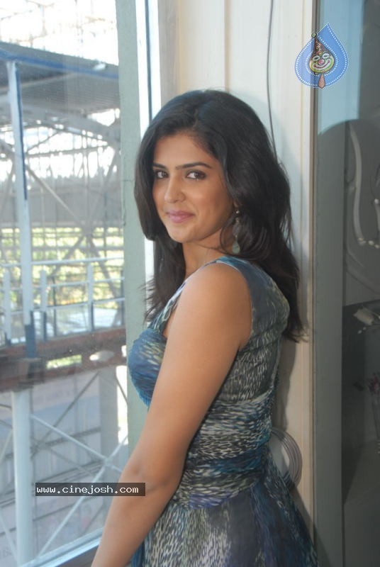 Deeksha Seth New Stills - 14 / 24 photos