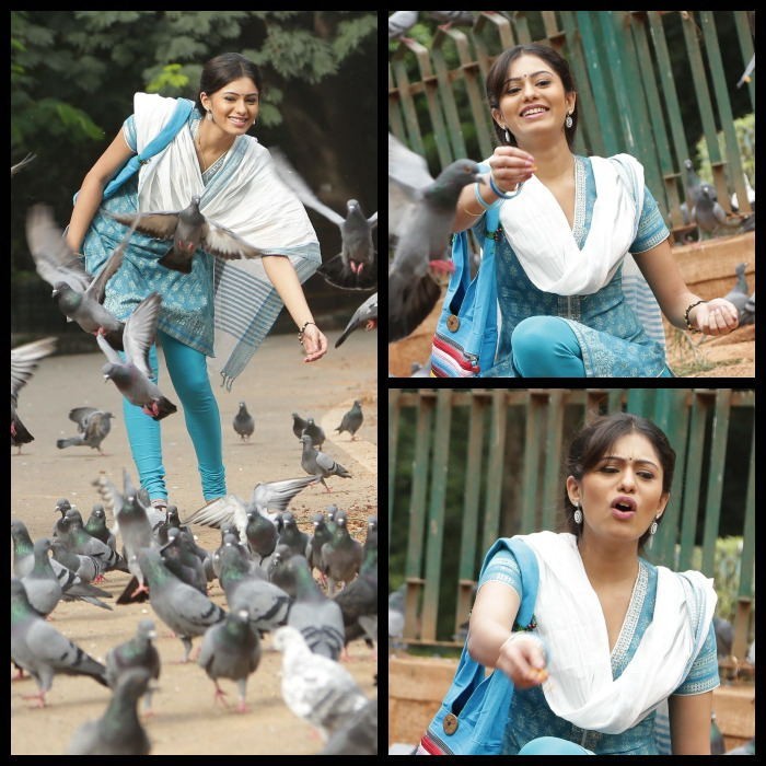 Deepa Sannidhi Hot Photos - 7 / 17 photos