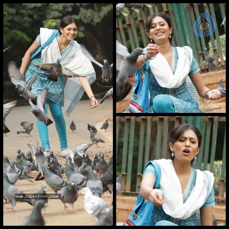 Deepa Sannidhi Hot Pics - 23 / 23 photos