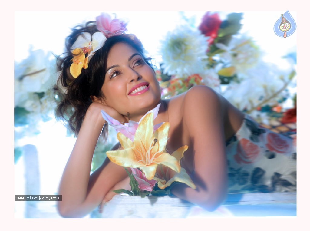 Disha Pandey Portfolio - 11 / 28 photos