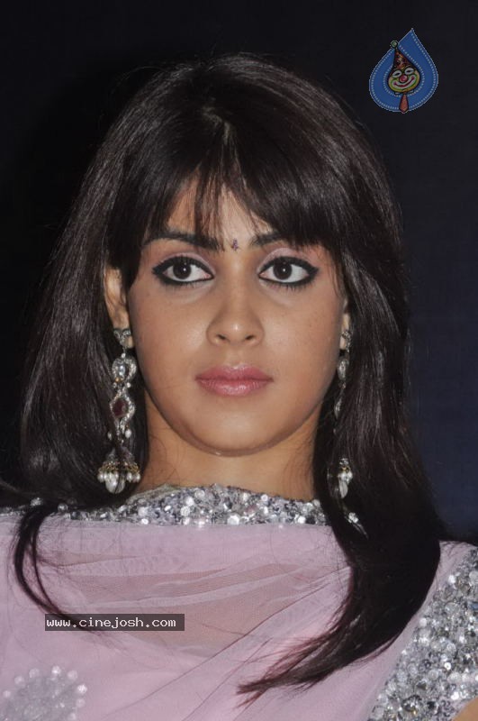 Genelia Stills - 20 / 28 photos