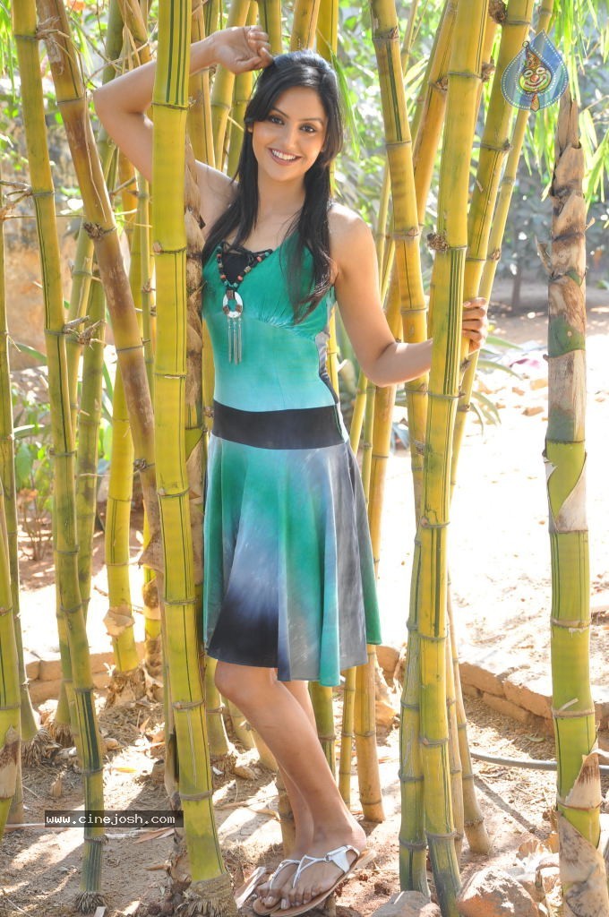 Gowri Sharma Hot Stills - 19 / 79 photos