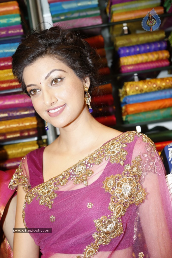 Hamsa Nandini Hot Stills - 56 / 152 photos
