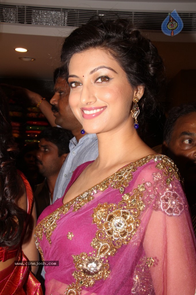 Hamsa Nandini Hot Stills - 138 / 152 photos