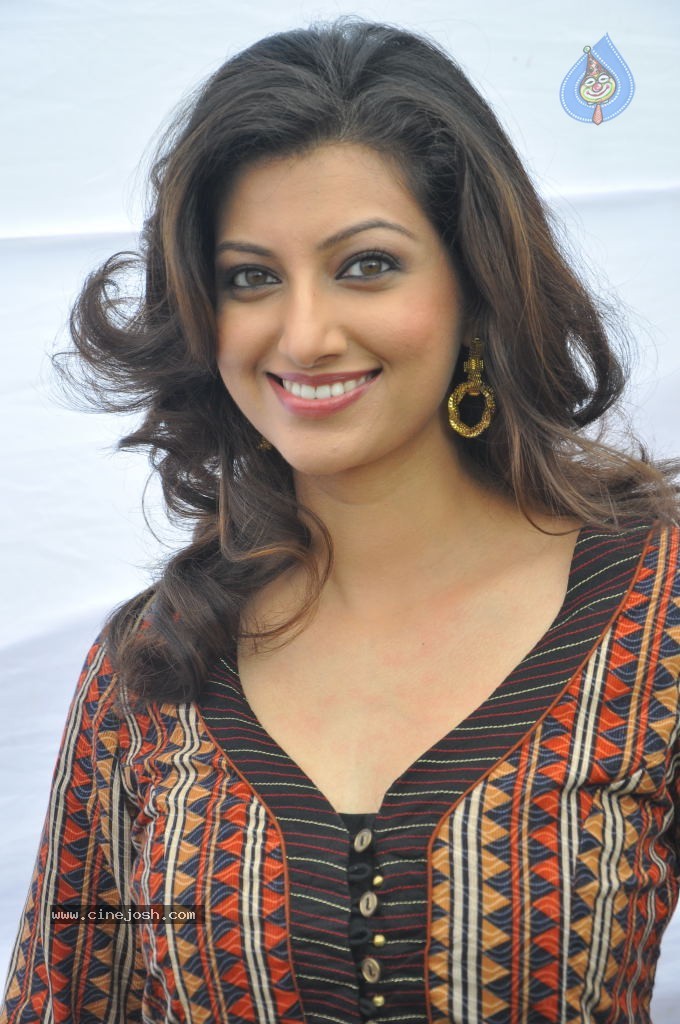 Hamsa Nandini Stills - 40 / 51 photos