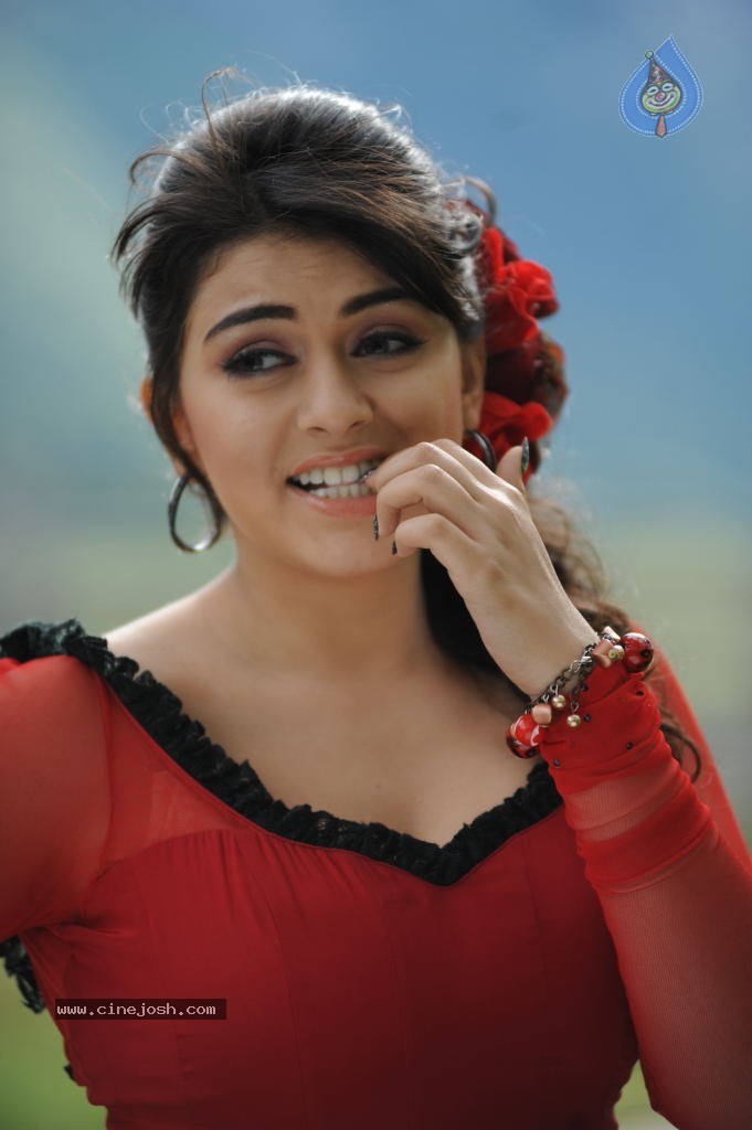 Hansika High Resolution Stills - 1 / 4 photos