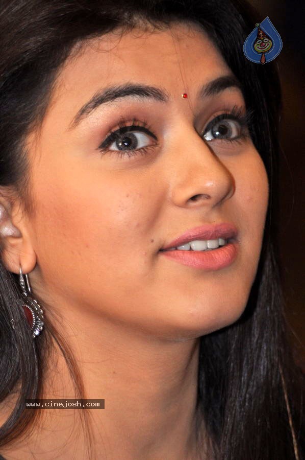 Hansika Photo Gallery - 47 / 55 photos