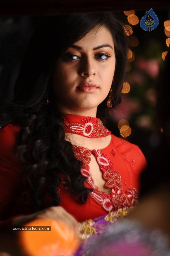 Hansika Photos - 32 / 49 photos