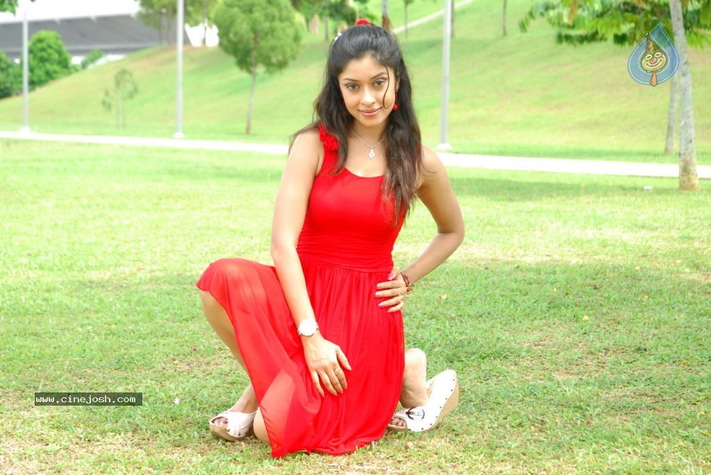 Harika New Gallery - 4 / 65 photos