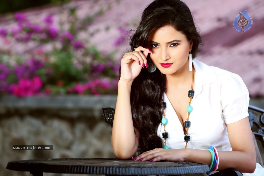 Harinakshi Portfolio Photos - 23 / 27 photos