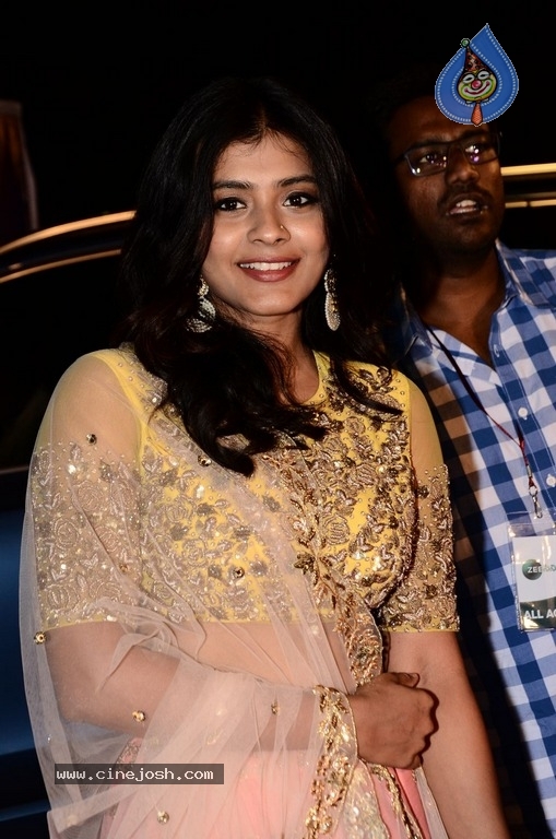 Hebha Patel At Zee Apsara Awards - 9 / 12 photos