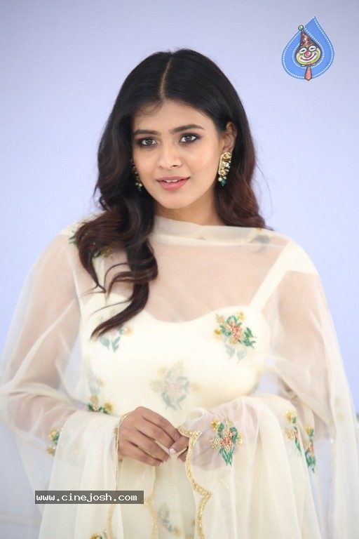 Hebah Patel Pictures - 19 / 21 photos