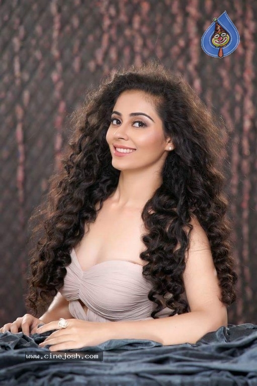 Heroine Payal Wadhwa Stills - 5 / 7 photos