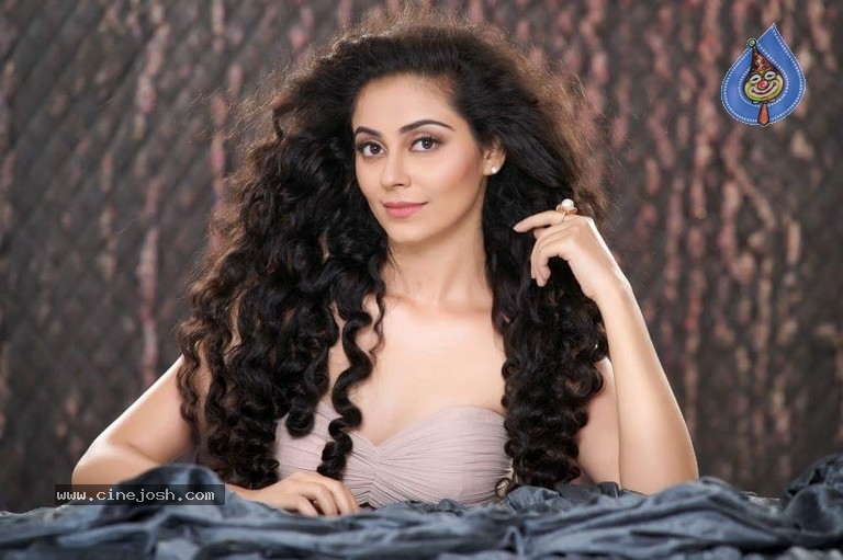 Heroine Payal Wadhwa Stills - 7 / 7 photos