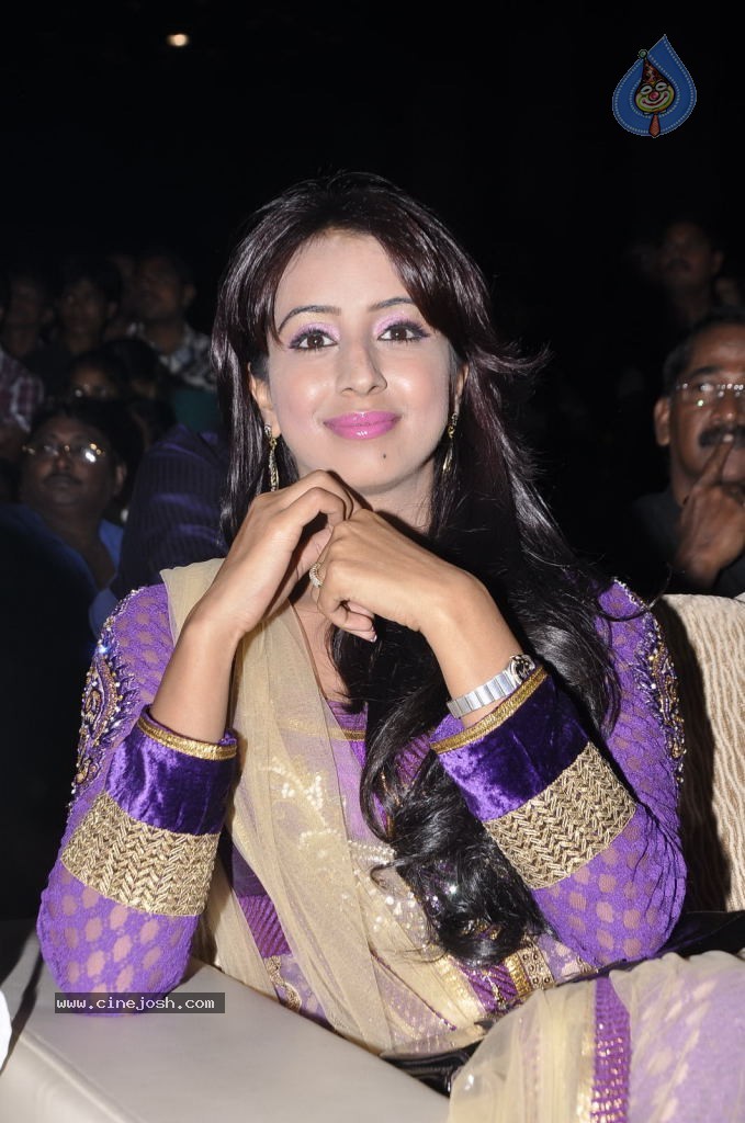 Heroines at Santosham Awards 2012 - 60 / 156 photos