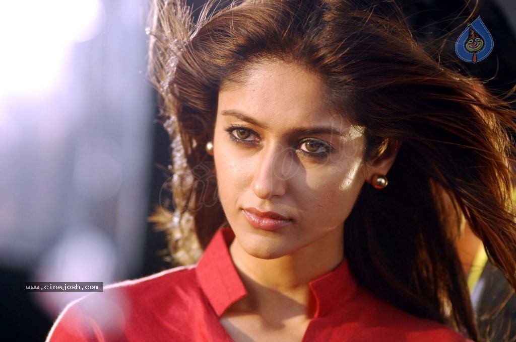Ileana High Resolution Gallery - 41 / 74 photos
