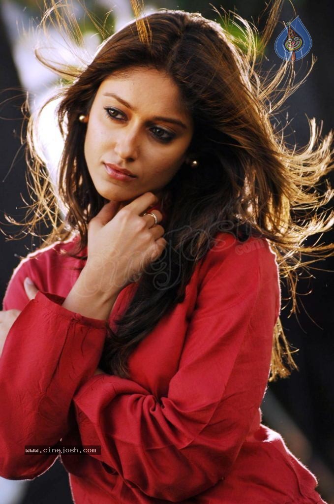 Ileana High Resolution Gallery - 45 / 74 photos