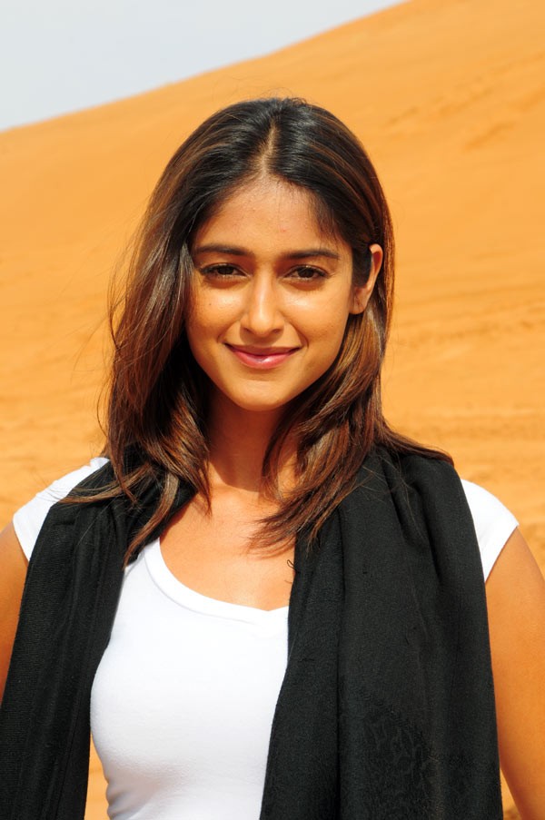 Ileana - Rechipo - 74 / 149 photos