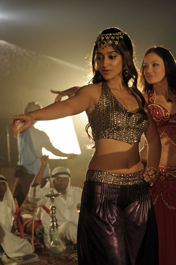 Ileana - Rechipo - 133 / 149 photos