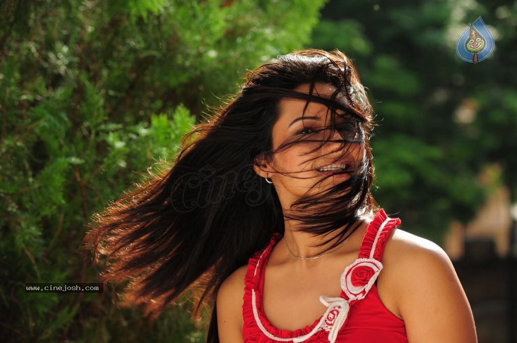 Isha Chawla Cute Photos - 53 / 86 photos