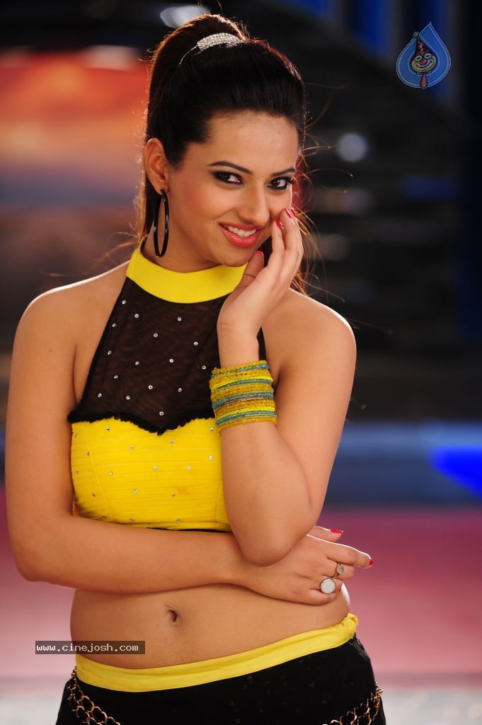 Isha Chawla Pics - 15 / 24 photos