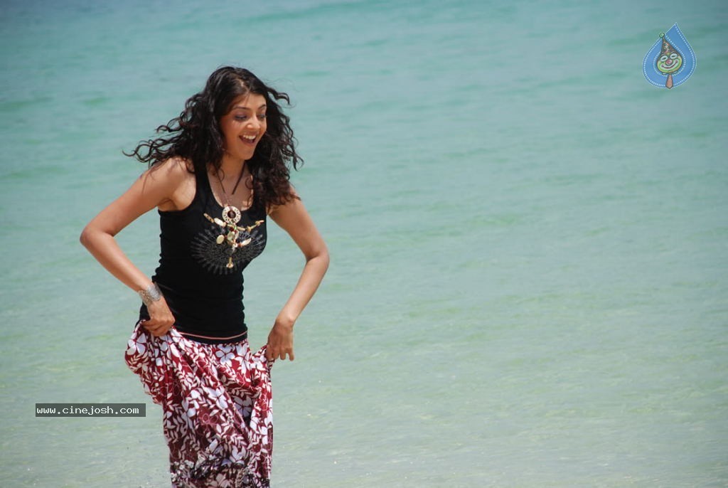 Kajal Agarwal Hot Stills - 24 / 63 photos