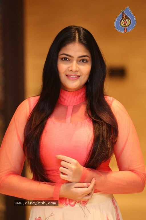 Kalpika Ganesh Photos - 16 / 18 photos