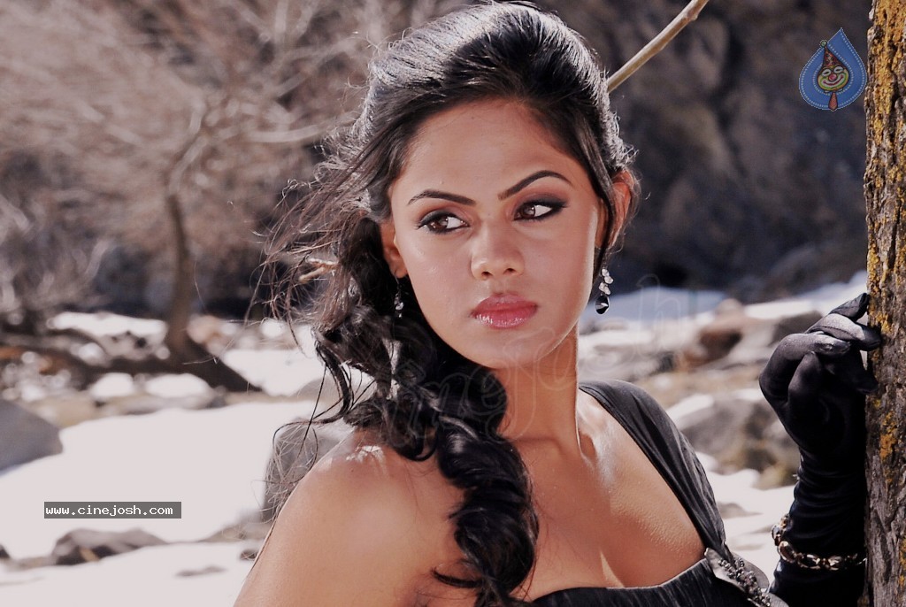 Karthika Latest Stills - 19 / 82 photos