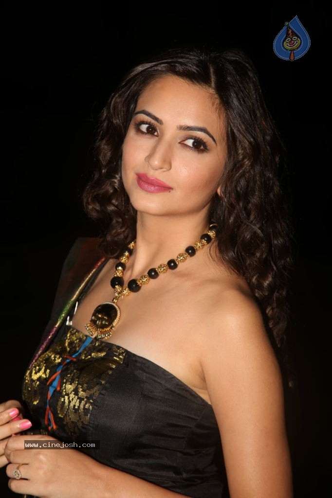 Kriti Kharbanda New Stills - 109 / 110 photos