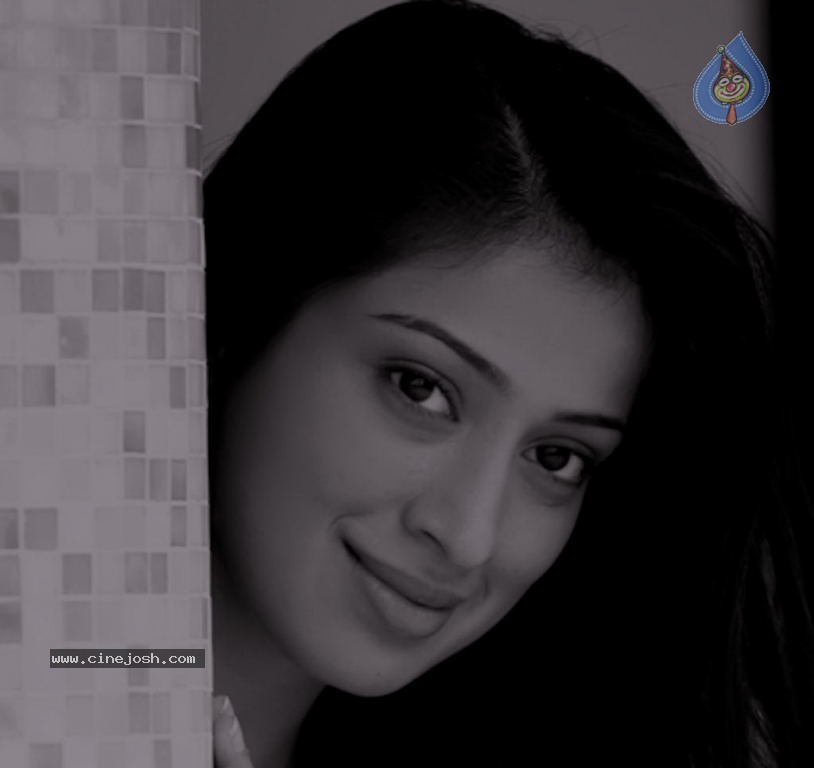 Lakshmi Rai New Stills - 3 / 10 photos