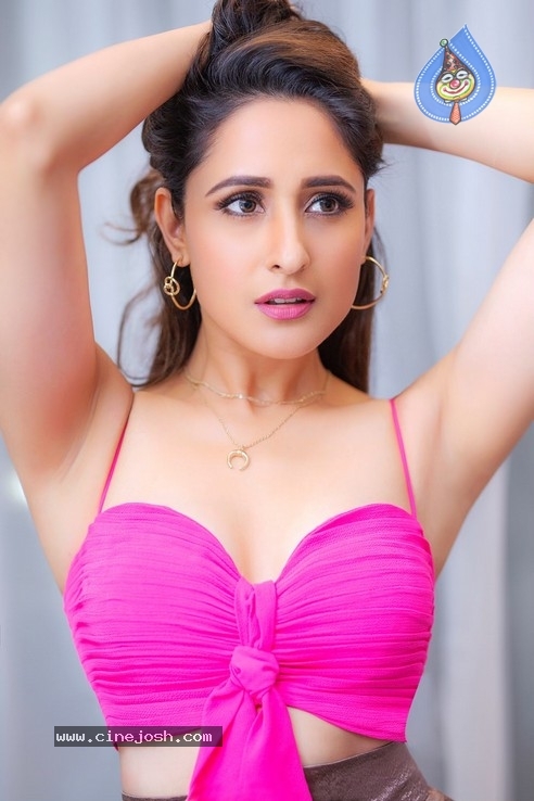 Latest Pictures of Pragya Jaiswal - 13 / 15 photos