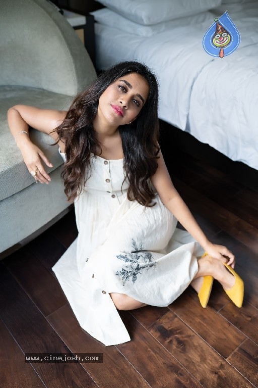  Nabha Natesh Photos - 5 / 5 photos